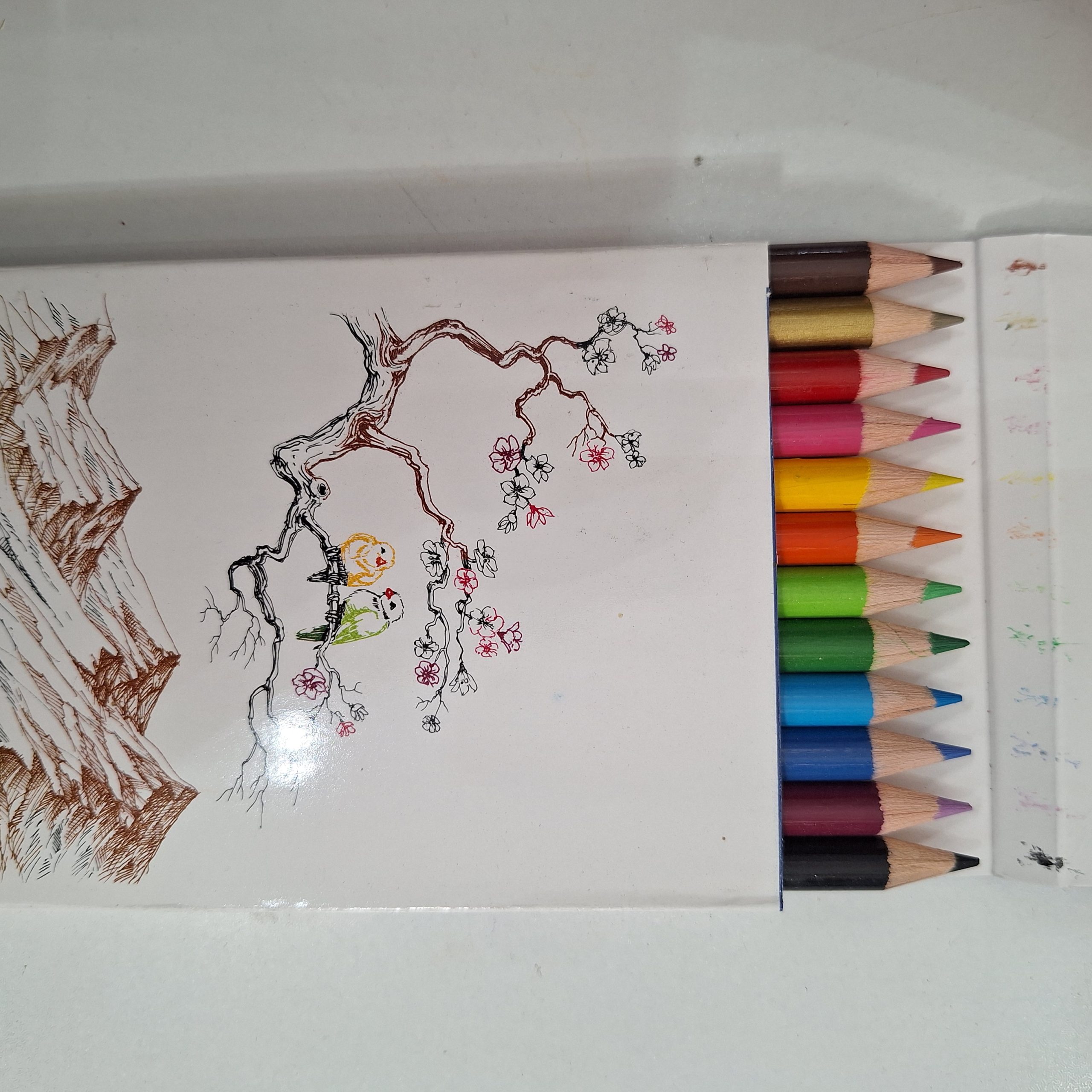 ۲۰۲۵۱۱۳۰_۰۹۵۴۲۷